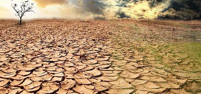 Pérdida de Hábitat y Degradación de la Tierra