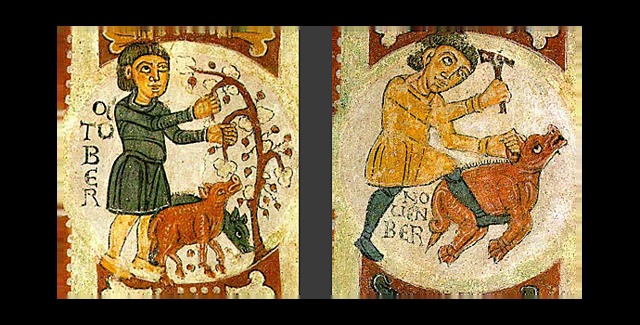 EVOLUCION E HISTORIA DEL CERDO