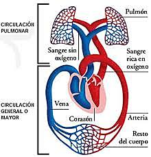 Descubrimientos importantes