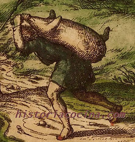 EVOLUCION E HISTORIA DEL CERDO