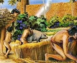 Posible domesticación