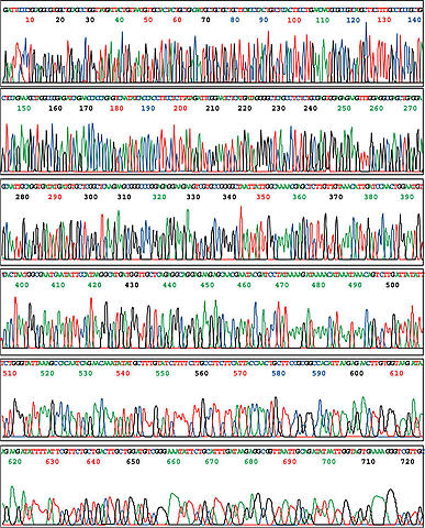 El Proyecto Genoma Humano publica la primera secuenciación completa del genoma humano con un 99.99% de fidelidad.