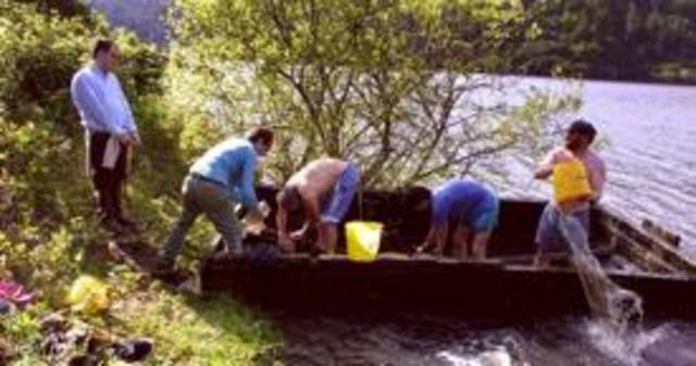 Solicitude dos párrocos