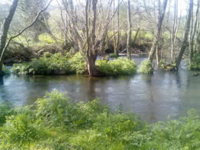 Estudo sobre a ubicación da ponte