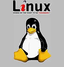 El inicio de Linus en su trabajo con Linux