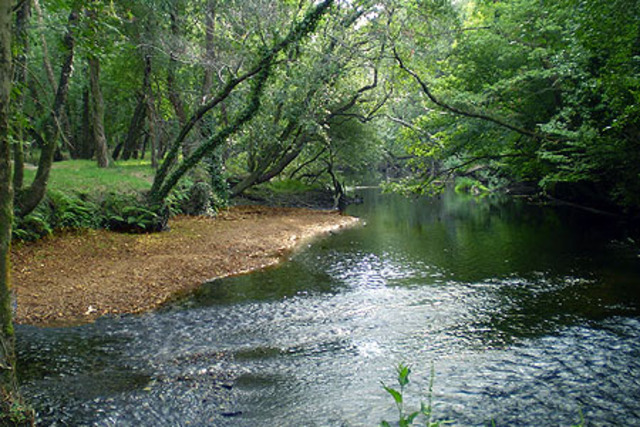 Aprobación definitiva