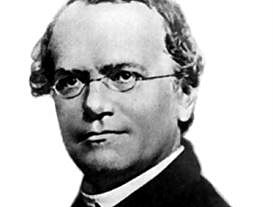 GREGOR MENDEL
