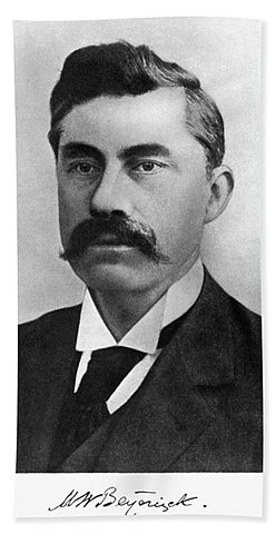 MARTINIUS BEIJERINCK