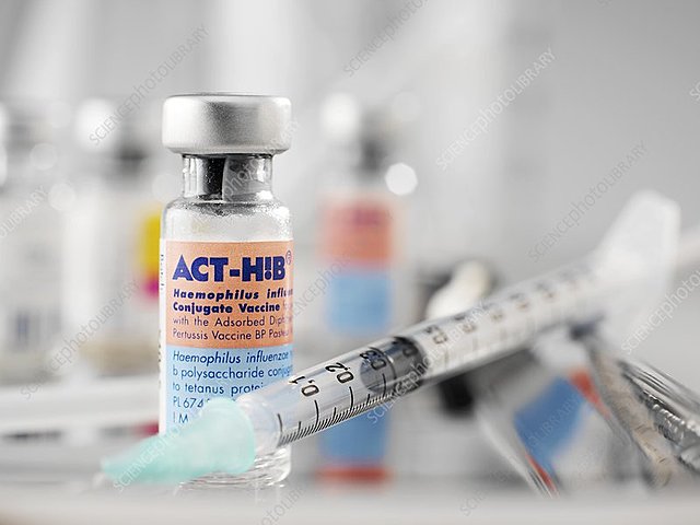 The HIB vaccine is introduced