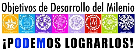 Cumbre de las Naciones Unidas sobre los Objetivos de Desarrollo del Milenio 2010