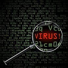 PRIMER VIRUS