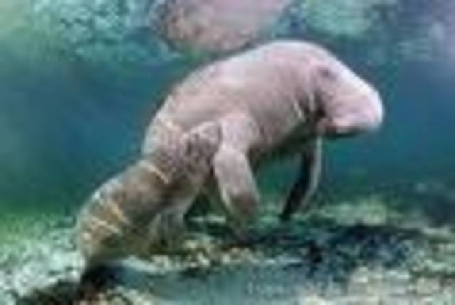 my 10th time in florida