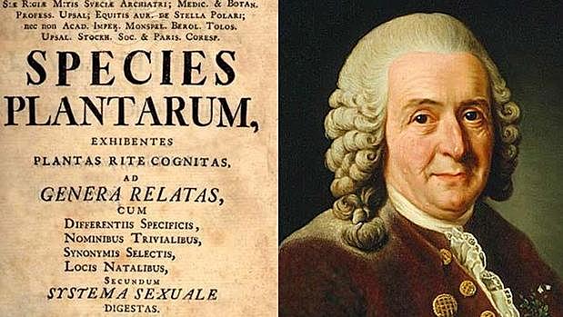 Clasificación de las especies