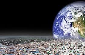 2019 Resultados ambientales