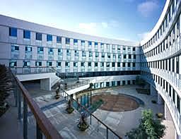 Concepte de red sin autoridad central