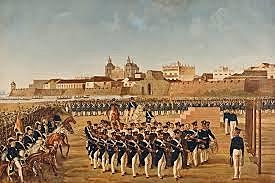 El curriculum de la nueva granada.