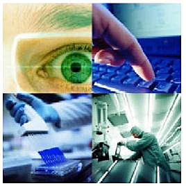 Distintos Elementos del Conocimiento