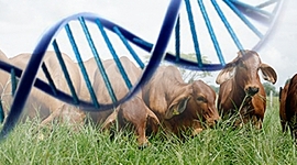 Timeline: Historia de la Genética hasta nuestros días