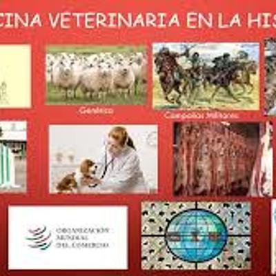 Timeline: HISTORIA DE LA GENETICA