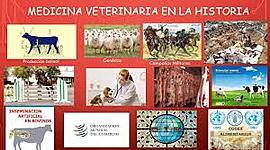 Timeline: HISTORIA DE LA GENETICA