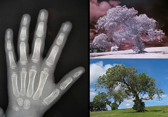 technology changes in 2012