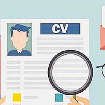 Timeline: El curriculo