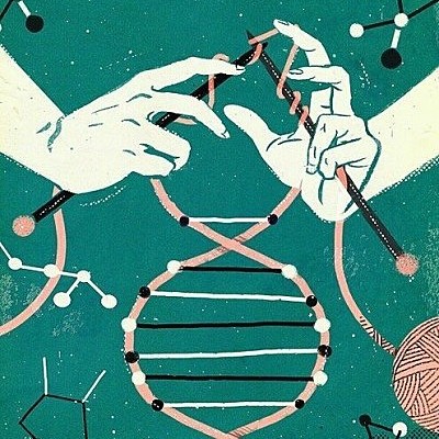 Timeline: Historia de la genética