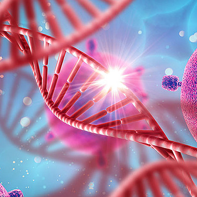 Timeline: HISTORIA DE LA GENÉTICA HASTA NUESTROS DIAS