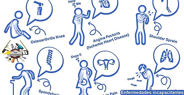 Resolución 4049 de 1995