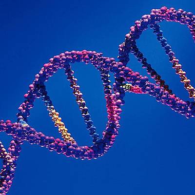 Timeline: Historia de la Genética