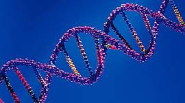 Timeline: Historia de la Genética