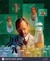 Tomas Morgan emepezó a trabajar con moscas