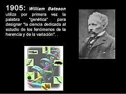 William Batson