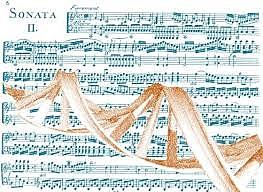 Se formó una idea diferente