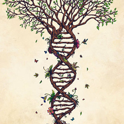 Timeline: Historia de la genética