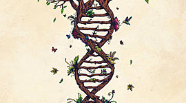 Timeline: Historia de la genética