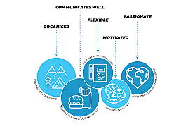 Skills & Knowledge- Describe Your Skills