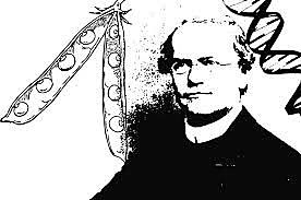 Historia de la genética