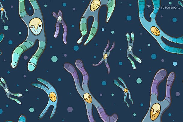 Mapeo de los cromosomas