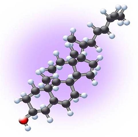 Acceso al nivel molecular