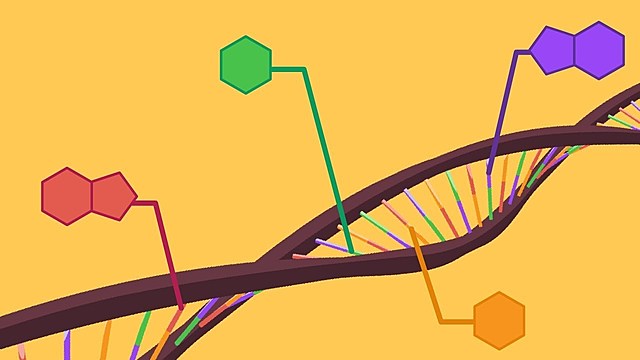 Técnicas de secuenciación y más...