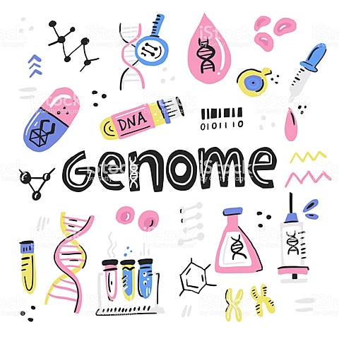 Fin del proyecto genoma humano