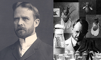 Thomas Hunt Morgan