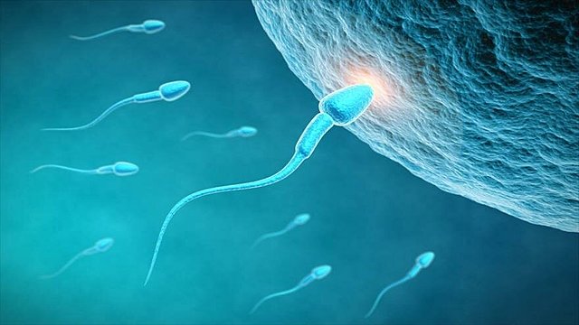 Historia de la genética