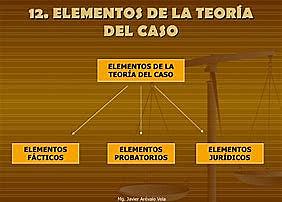 TEORIA DEL CASO