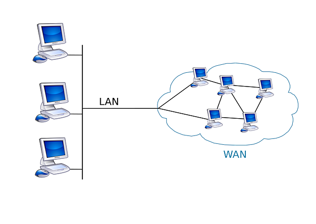 Who created the first wide area network