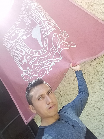 Ingreso a la UNAM Suayed