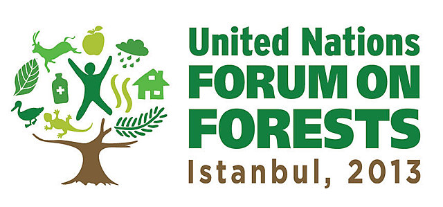 Foro de Naciones Unidas sobre los Bosques