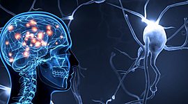 Timeline: Psicoanálisis