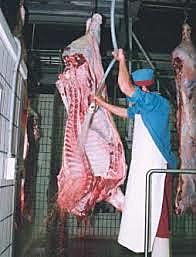 En el Libro de Manú